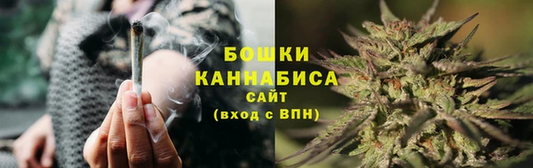 твердый Нягань