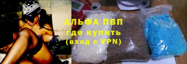 трава Новозыбков