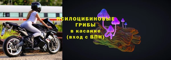 ГАЛЛЮЦИНОГЕННЫЕ ГРИБЫ Ельня