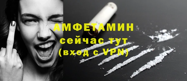 твердый Нягань