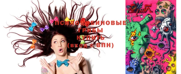 трава Новозыбков