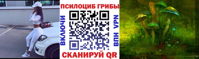 Псилоцибиновые грибы Psilocybine cubensis  Ивдель 